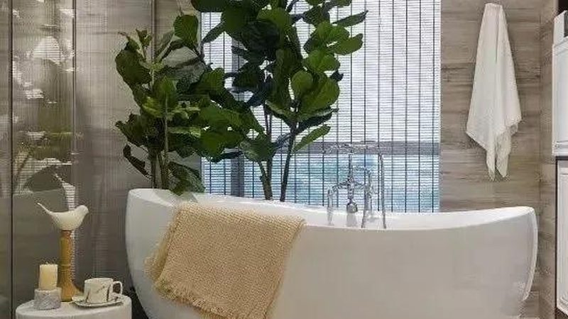 即热式电动马桶：揭秘其优缺点，选购不再迷茫**